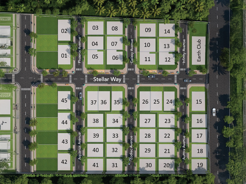 Master Layout